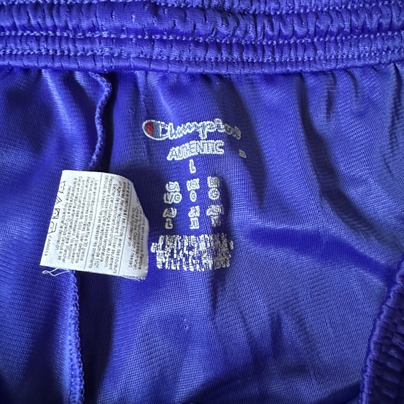 Champion shorts - Picture 3 of 3